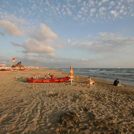 فندق Ely 2*